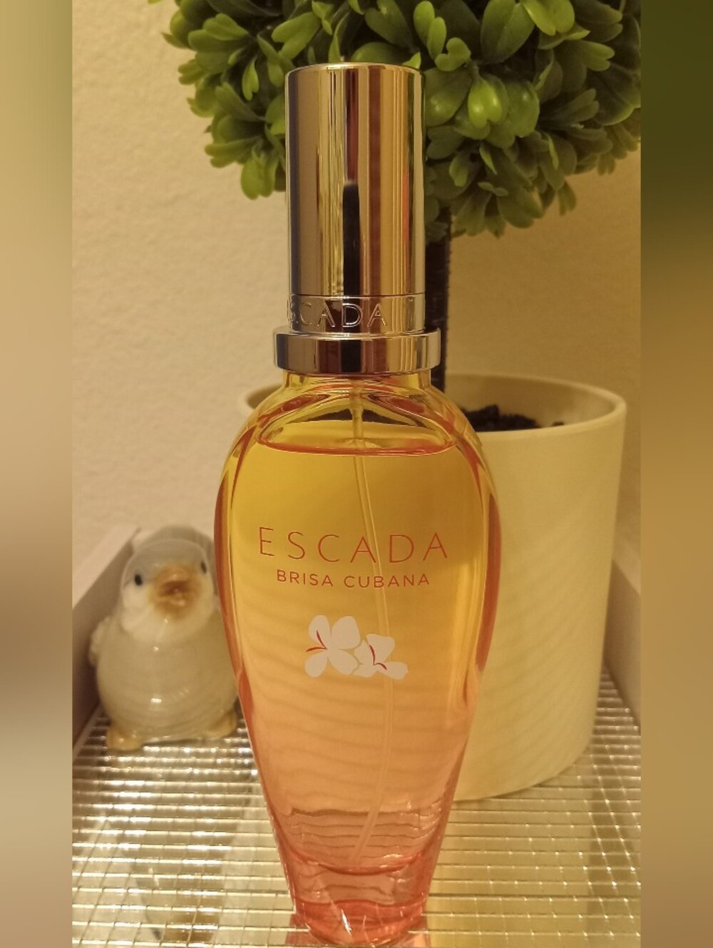 Escada Brisa Cubana 1.6 OZ - Picture 3 of 5